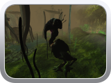... and then heads toward the swamp