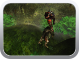 He continues circling the outer reaches of the forest